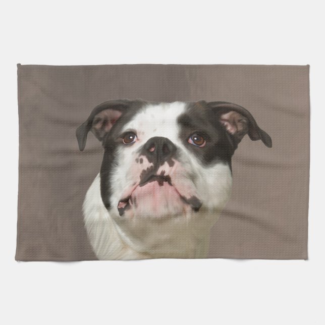 Färgning av Bulldog Vatten Färg Art Kökshandduk (Horisontell)