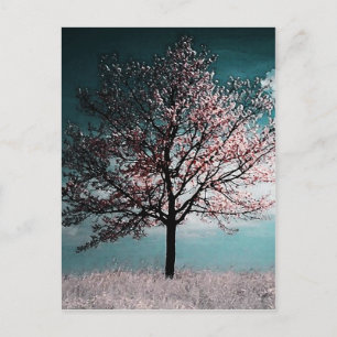 Färgning av Cherry Blommar Träd - Dusk Vykort