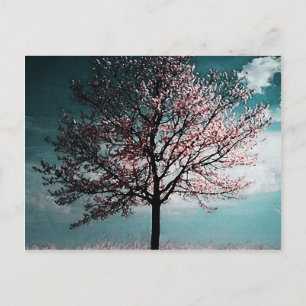 Färgning av Cherry Blommar Träd - Dusk Vykort