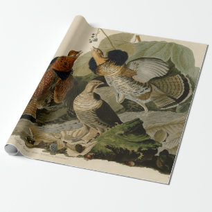 Färgning av en trio ruffad grouse presentpapper