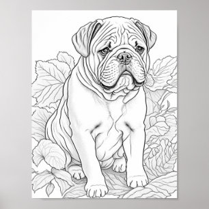 Färgning av engelska Bulldog-Vuxen Poster