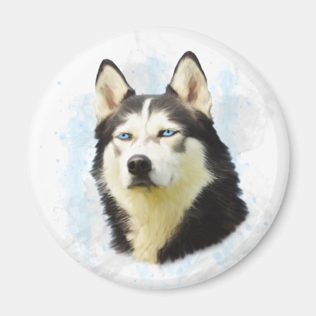 Färgning av Färg i Siberian husky Hund Magnet (Framsidan)