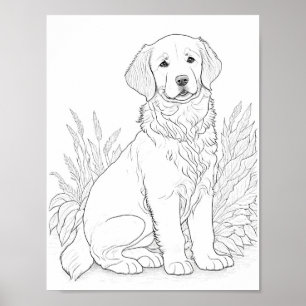 Färgning av Golden Retriever-Vuxen för Hund Poster