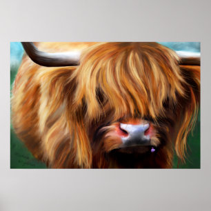 Färgning av höglandskon poster