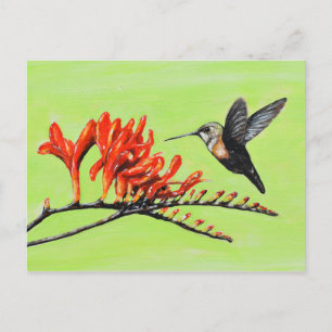 Färgning av Hummingbird och Crocosmia Vykort