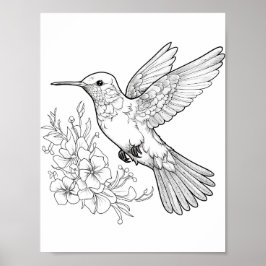 Färgning av hummingbird Vuxen Poster