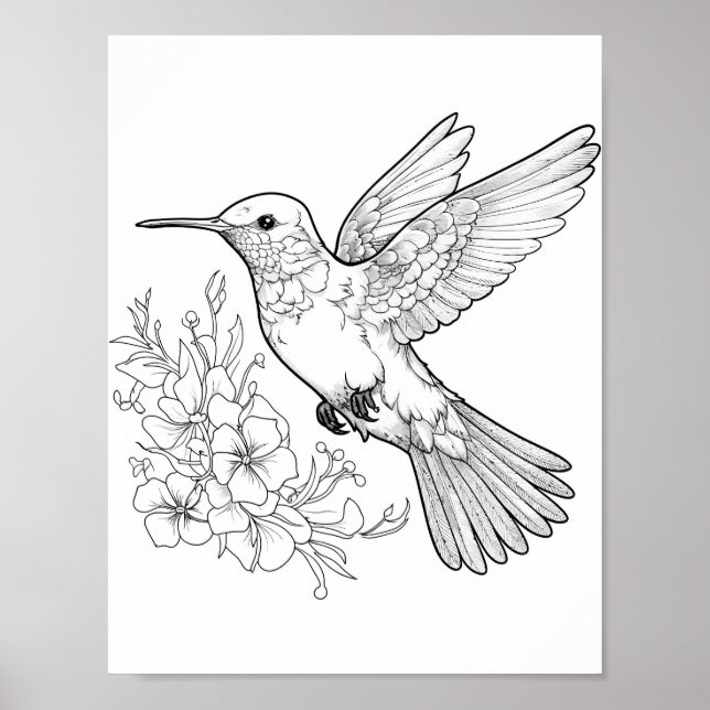 Färgning av hummingbird Vuxen Poster (Framsidan)