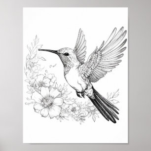 Färgning av hummingbird Vuxen Poster