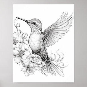 Färgning av hummingbird Vuxen Poster