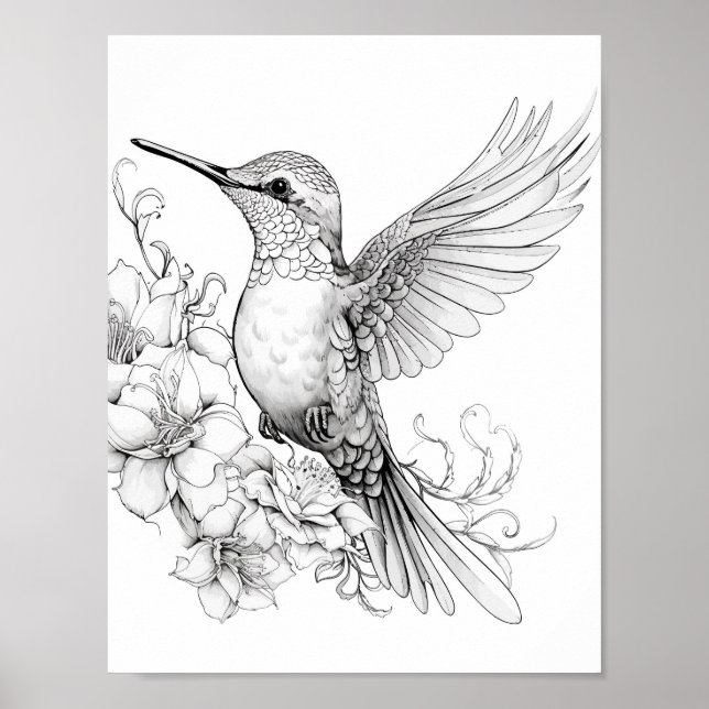 Färgning av hummingbird Vuxen Poster (Framsidan)