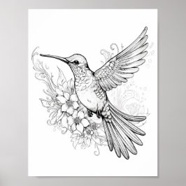Färgning av hummingbird Vuxen Poster