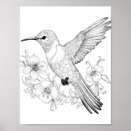 Färgning av hummingbird Vuxen Poster