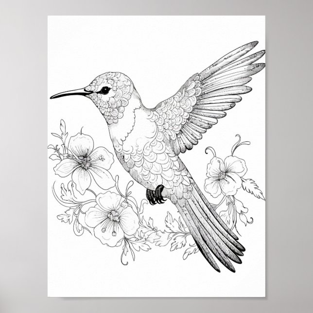 Färgning av hummingbird Vuxen Poster (Framsidan)