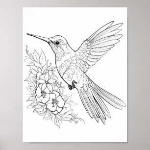 Färgning av hummingbird Vuxen Poster