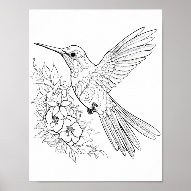 Färgning av hummingbird Vuxen Poster (Framsidan)