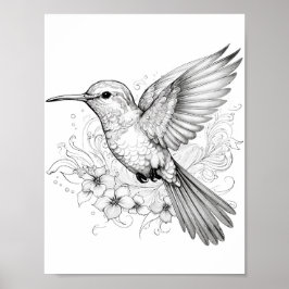 Färgning av hummingbird Vuxen Poster