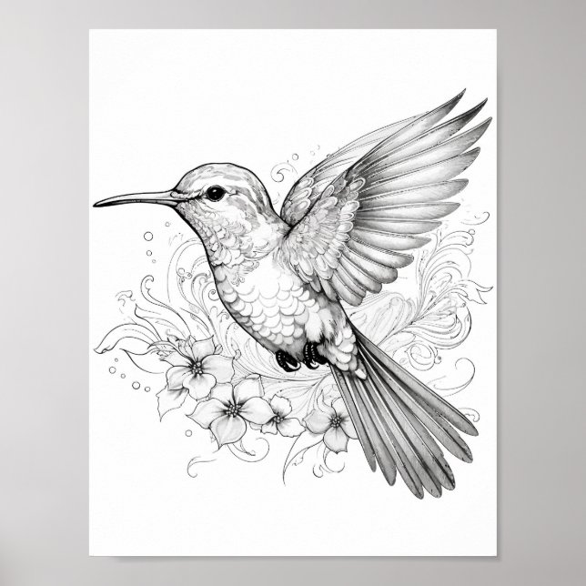 Färgning av hummingbird Vuxen Poster (Framsidan)