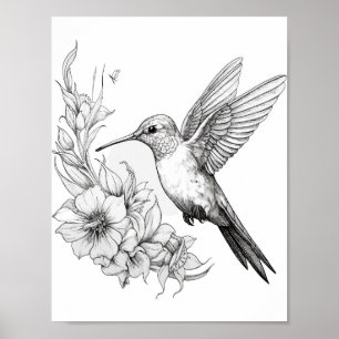 Färgning av hummingbird Vuxen Poster