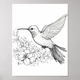 Färgning av hummingbird Vuxen Poster