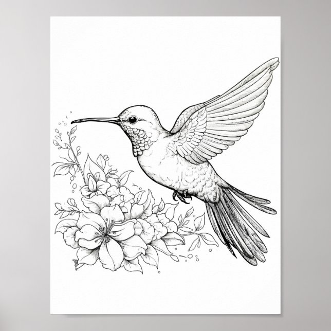 Färgning av hummingbird Vuxen Poster (Framsidan)