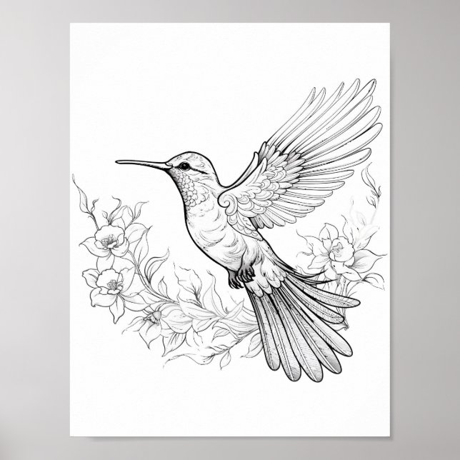 Färgning av hummingbird Vuxen Poster (Framsidan)