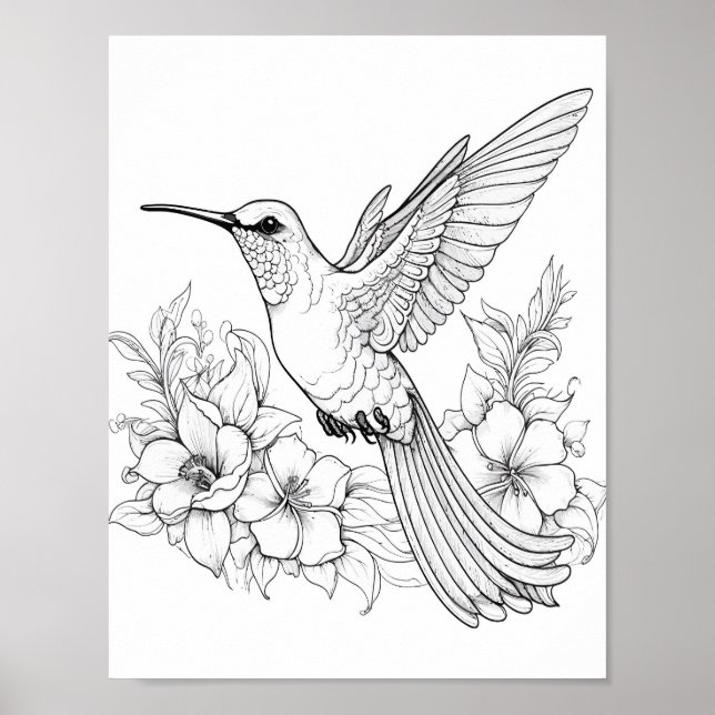 Färgning av hummingbird Vuxen Poster (Framsidan)