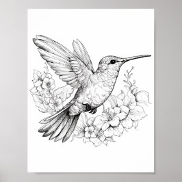 Färgning av hummingbird Vuxen Poster