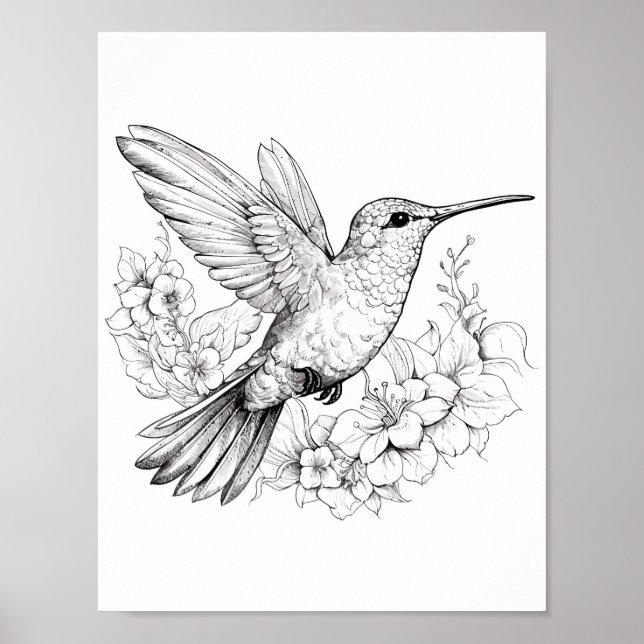 Färgning av hummingbird Vuxen Poster (Framsidan)