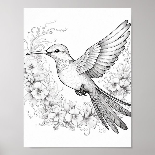 Färgning av hummingbird Vuxen Poster (Framsidan)