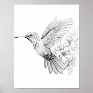 Färgning av hummingbird Vuxen Poster