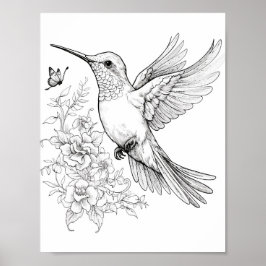 Färgning av hummingbird Vuxen Poster