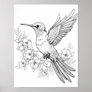 Färgning av hummingbird Vuxen Poster