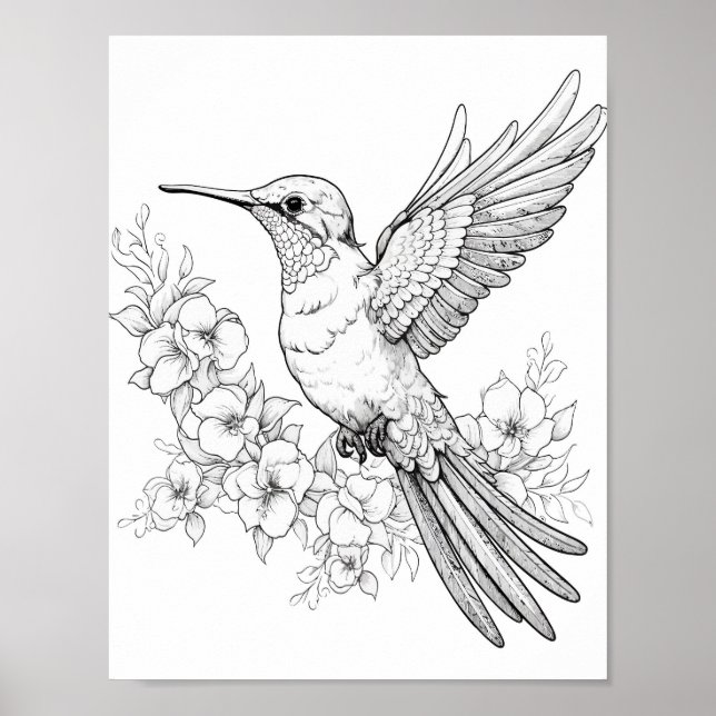 Färgning av hummingbird Vuxen Poster (Framsidan)