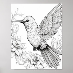 Färgning av hummingbird Vuxen Poster