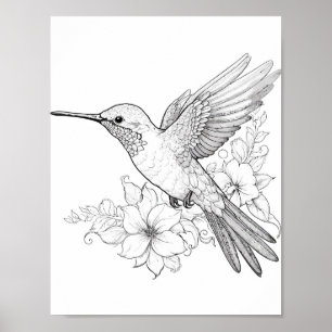 Färgning av hummingbird Vuxen Poster