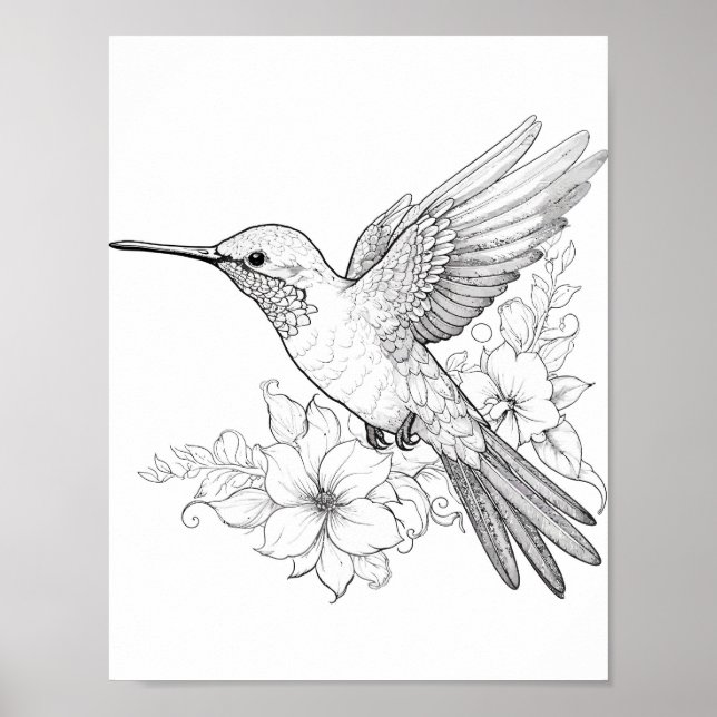 Färgning av hummingbird Vuxen Poster (Framsidan)