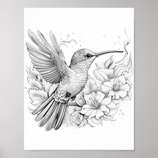 Färgning av hummingbird Vuxen Poster (Framsidan)