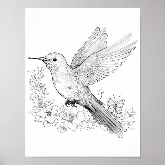Färgning av hummingbird Vuxen Poster (Framsidan)