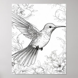 Färgning av hummingbird Vuxen Poster