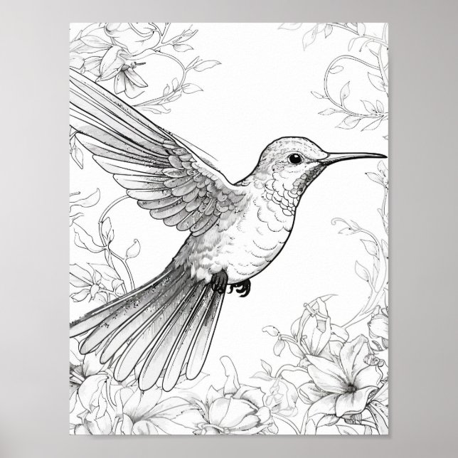 Färgning av hummingbird Vuxen Poster (Framsidan)