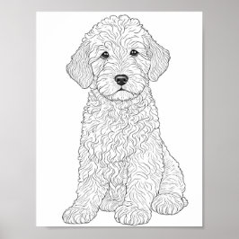 Färgning av Labradoodle-Vuxen Poster