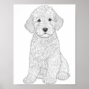 Färgning av Labradoodle-Vuxen Poster