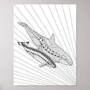 Färgning av Orca och Baby Vuxen Poster