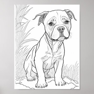 Färgning av Pitbull-Vuxen Poster