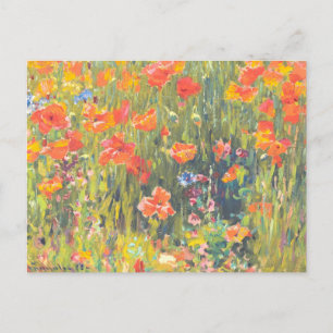 Färgning av poppies Postcard Vykort