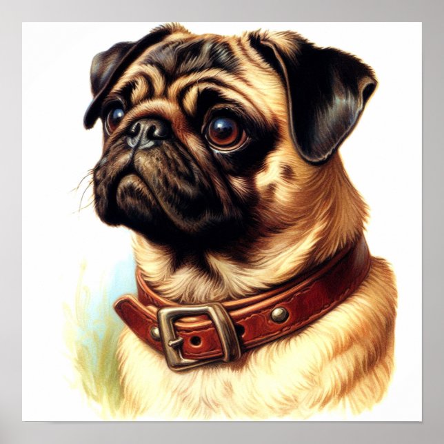 Färgning av returknapp för Cute Pug Poster (Framsidan)
