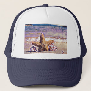 Färgning av stjärnornas sälar på Beach T-Shirt Keps