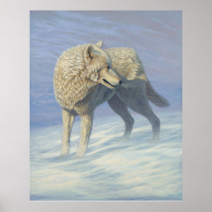 Färgning av vit Varg - Poster