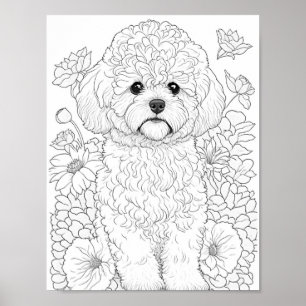 Färgning av Vuxen i Bichon Frise Poster