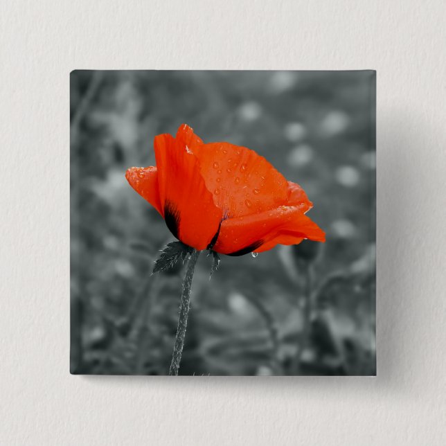 Färgnyckel Poppy-knapp Knapp (Framsida)